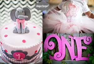 1 Year Birthday Party Pink Elephant Theme | Sugarland Photographer